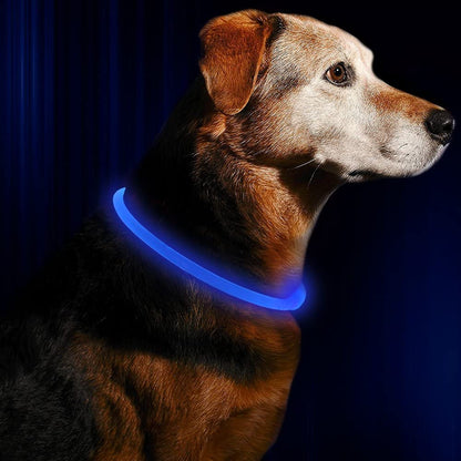 Light up Dog Collar,  USB Rechargeable Flash Dog Necklace Light, Pet Safety Collar Makes Your Beloved Dogs Be Seen at Night for Small Medium Large Dogs(Blue)