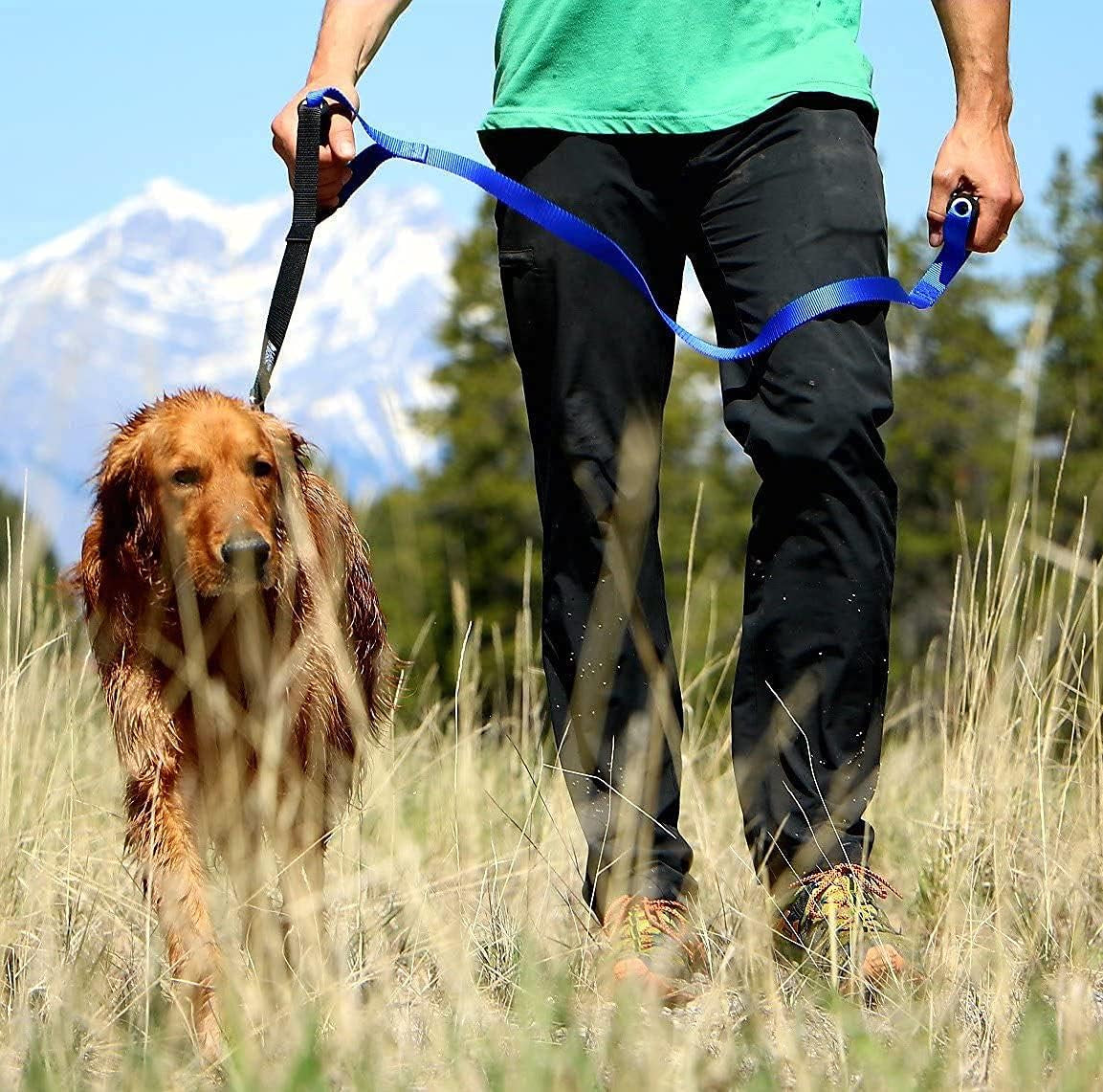 Original - Heavy Duty Dog Leash for Large Dogs - No Pull Double Handle Training Lead for Walking Big Dogs - Dog Leashes with Padded Handle for Control and Safety (Blue)