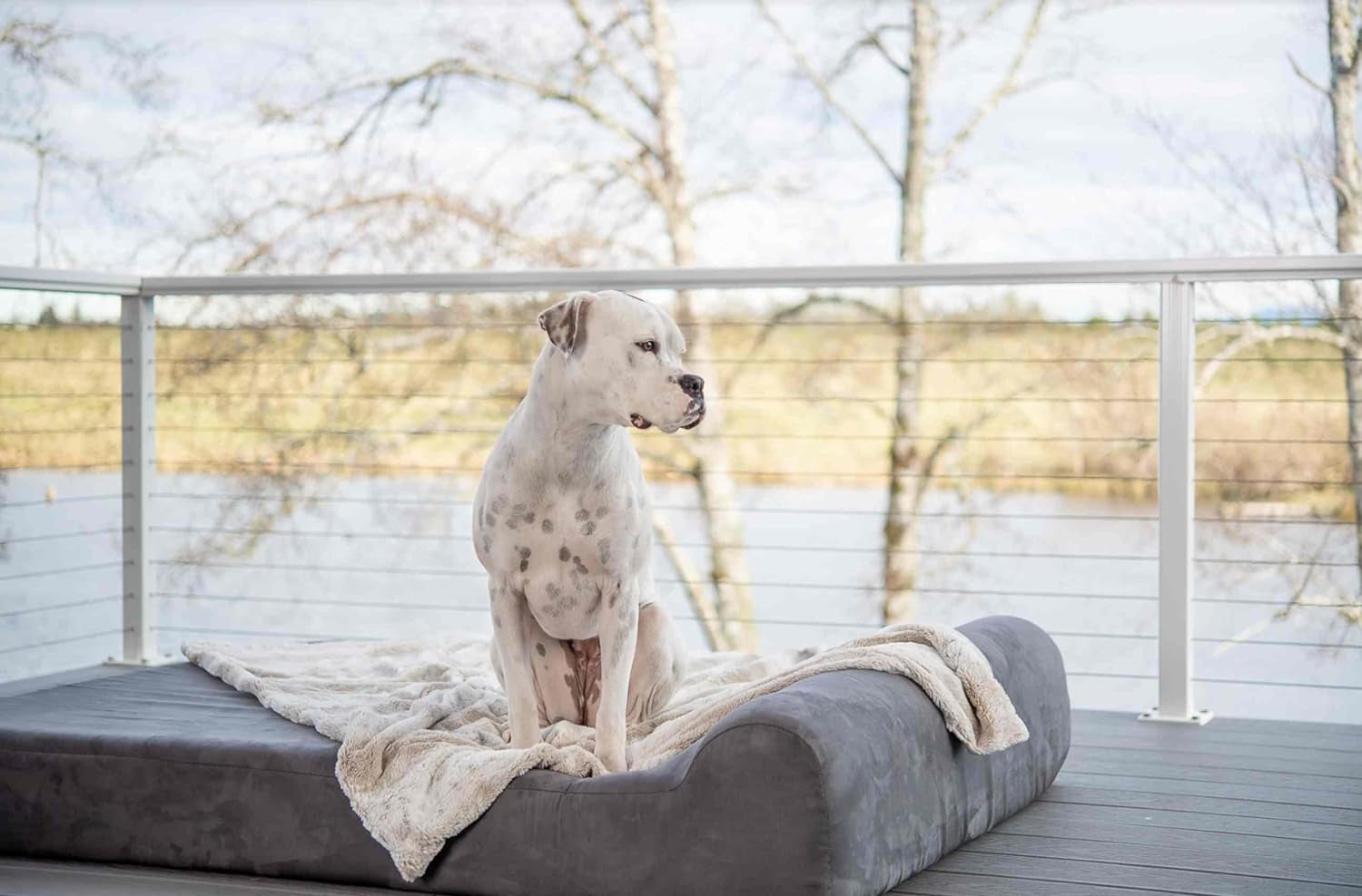 Orthopedic Dog Bed W/Headrest - 7” Dog Bed for Large Dogs W/Washable Microsuede Cover - Elevated Dog Bed Made in the USA W/ 10-Year Warranty (Headrest, XL, Charcoal Gray)