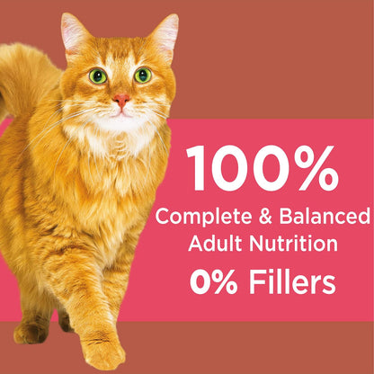 PROACTIVE HEALTH High Protein Adult Dry Cat Food with Chicken & Salmon Cat Kibble, 6 Lb. Bag