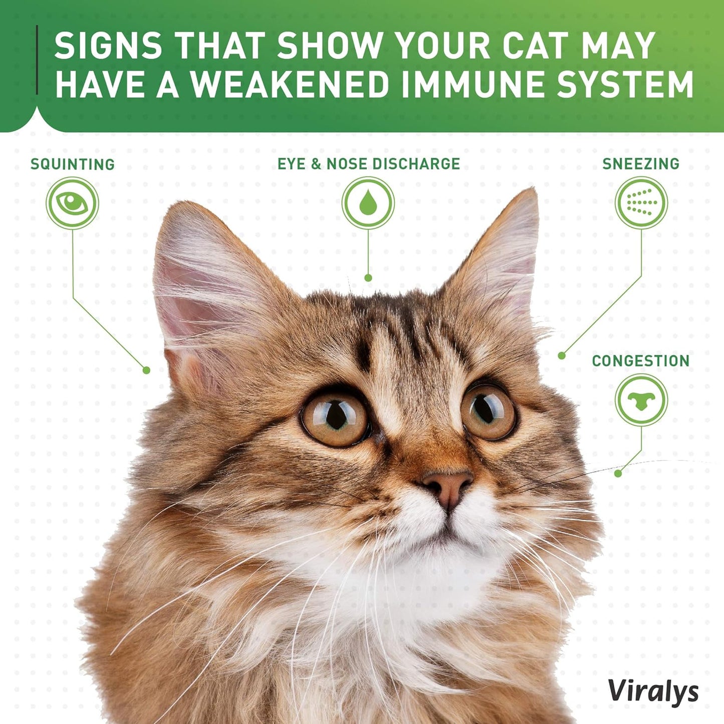 Viralys L-Lysine Supplement for Cats - Cats & Kittens of All Ages - Immune Health - Sneezing, Runny Nose, Squinting, Watery Eyes - Flavored Lysine Powder