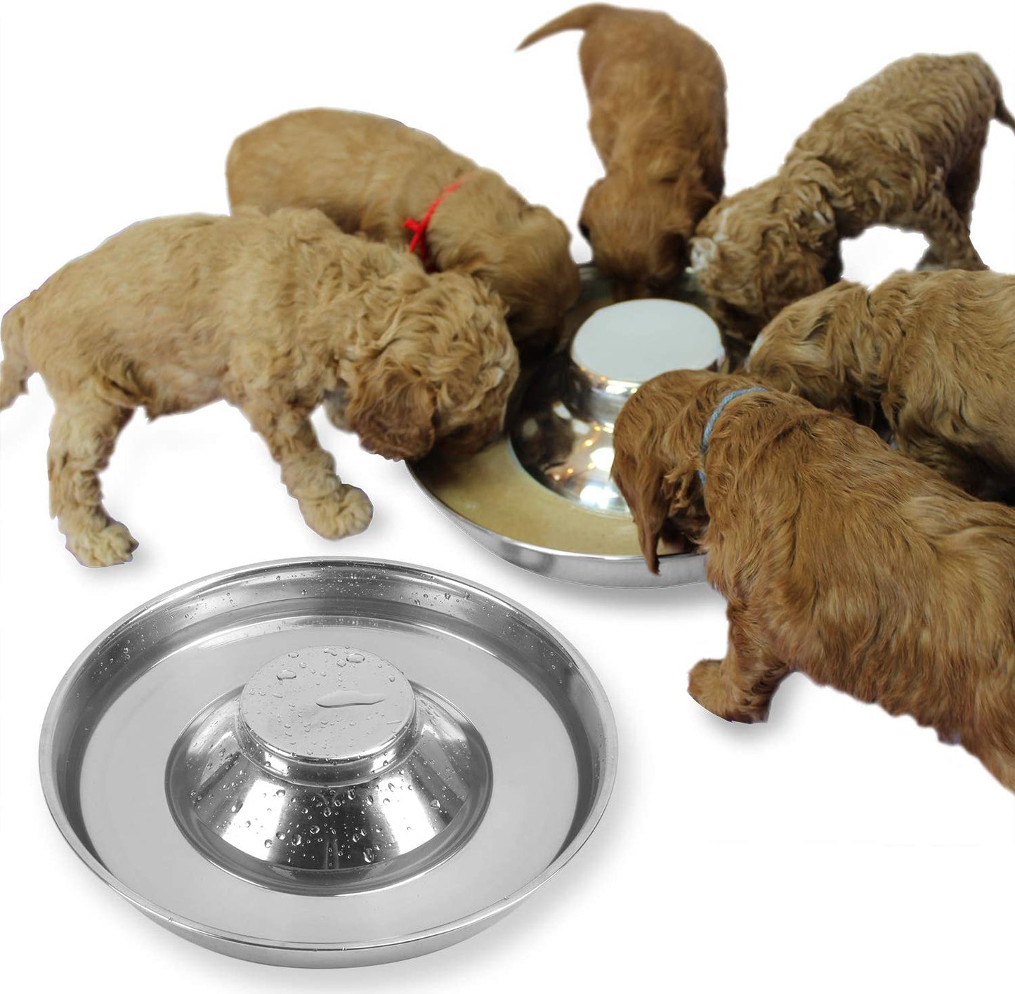 Stainless Steel Puppy Dog Bowls 2 Pack, Pets Puppies Feeding Food and Water Weaning Bowls Dishes Feeder