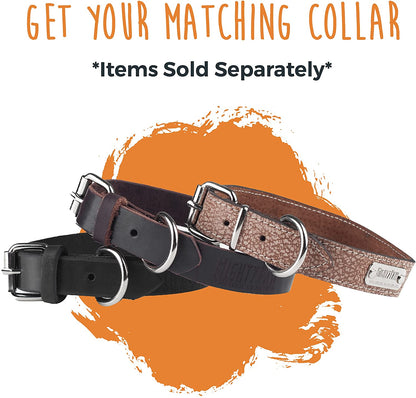 Leather Dog Leash - Genuine Distressed Material - Premium - Suitable for All Pet Sizes - Heavy Duty Dogs Leashes - Modern - Dark