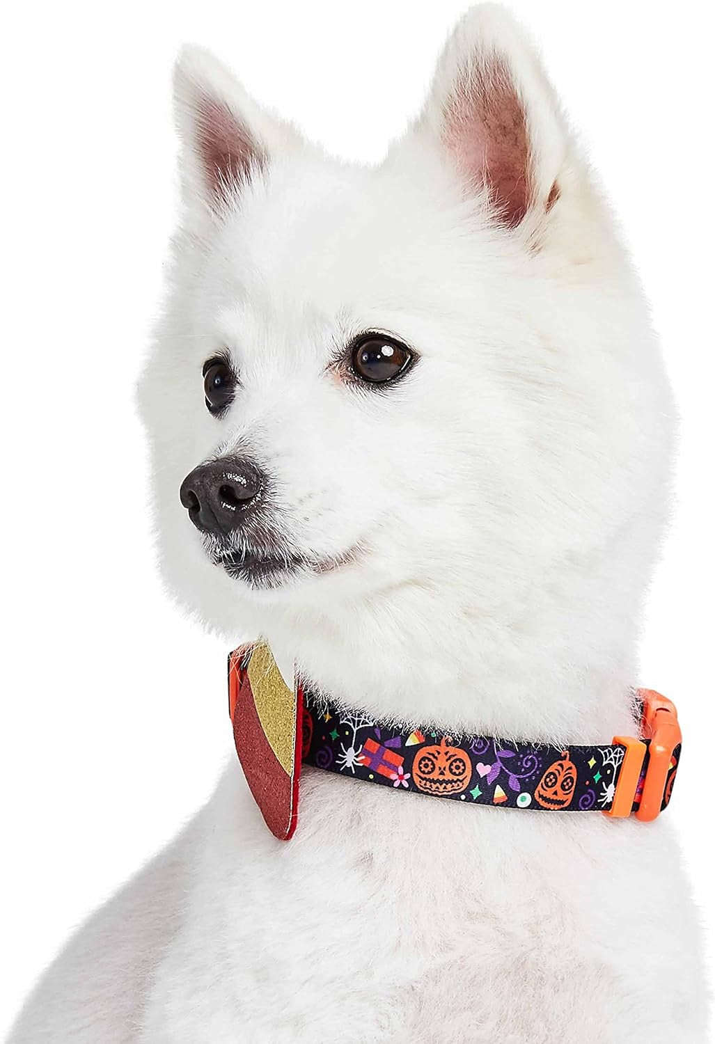 Halloween Candy Corn Adjustable Dog Collar with Detachable Glitter Accessory, Small, Neck 12"-16"