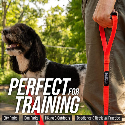 Extra Long Dog Leash - Long Lead Leash for Dog Training - Recall Leash for Dogs Outside