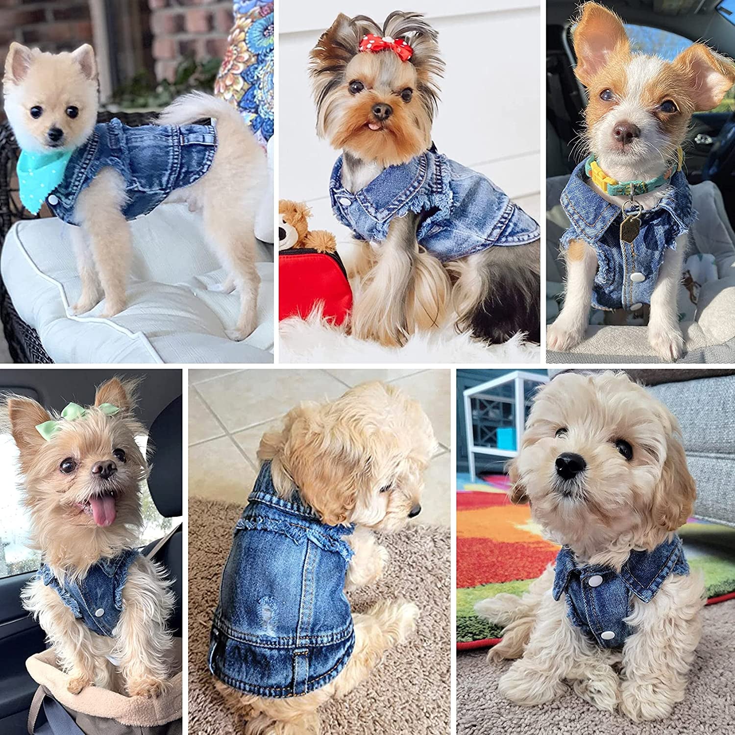 Dog Jean Jacket, Blue Denim Lapel Vest Coat T-Shirt Costume Cute Girl Boy Dog Puppy Clothes, Comfort and Cool Apparel, for Small Medium Dogs Cats, Machine Washable Dog Outfits (Medium, Blue)