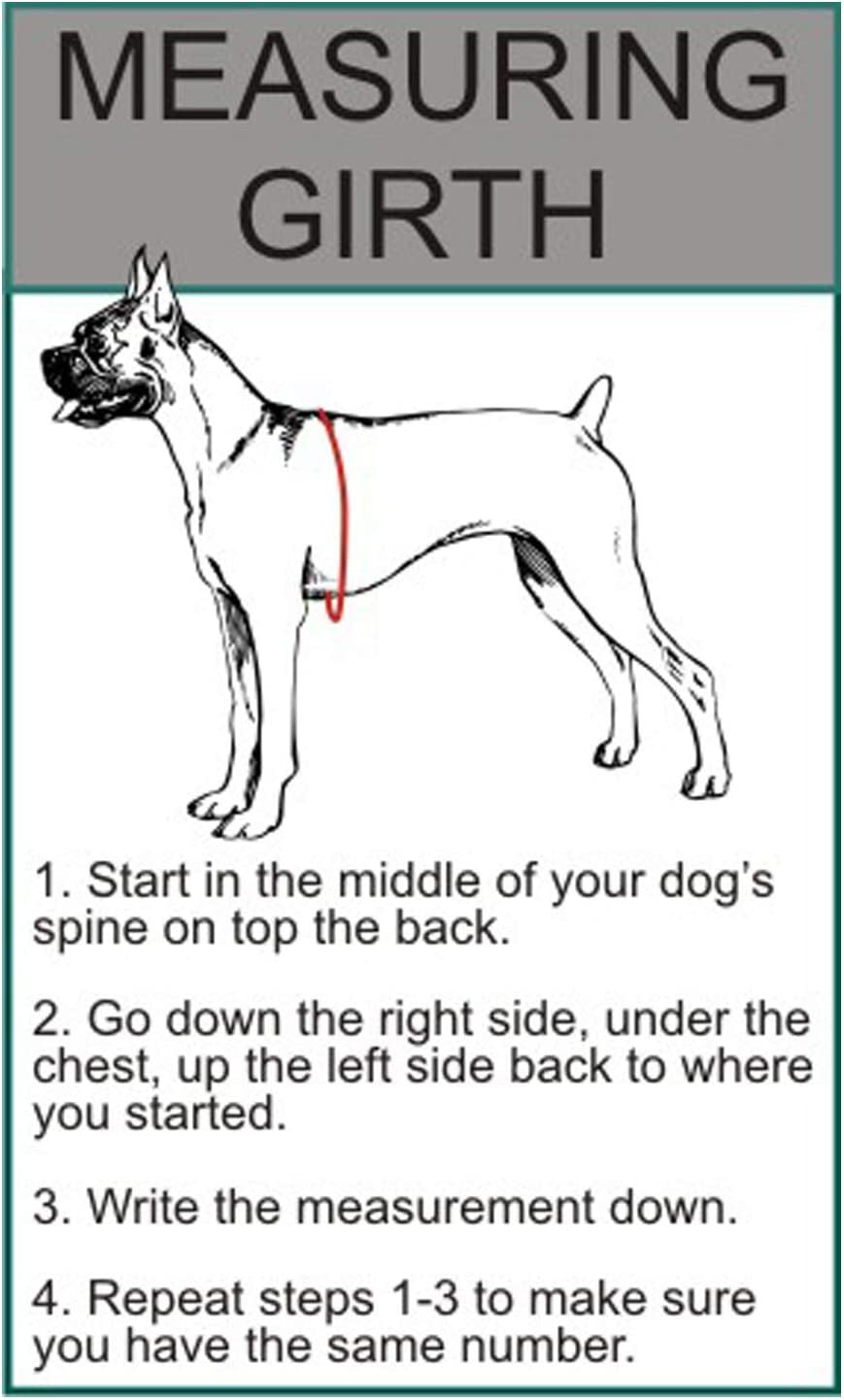 DO NOT PET Dog Vest Harness with Removable Patches and Reflective Trim. Comes with 2 DO NOT PET Reflective Removable Patches. Please Measure Dogs Girth before Purchase