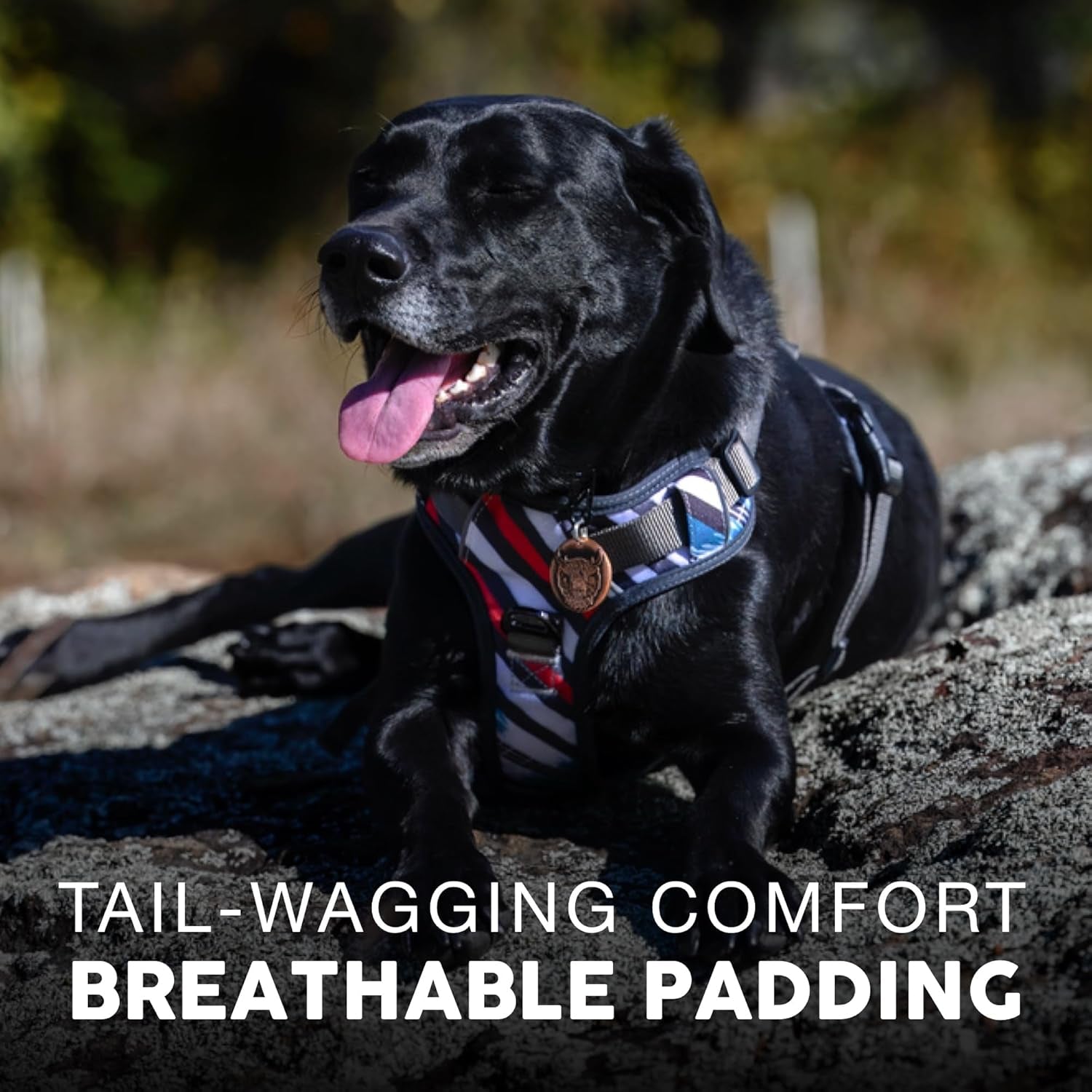 Embark Adventure Dog Harness, Reflective Trim No Pull Dog Harness Medium Sized Dog - Military Grade Nylon, Front Clip Dog Harness with Gel Lined Handle. Soft & Padded Puppy Dog Harnesses for Any Breed