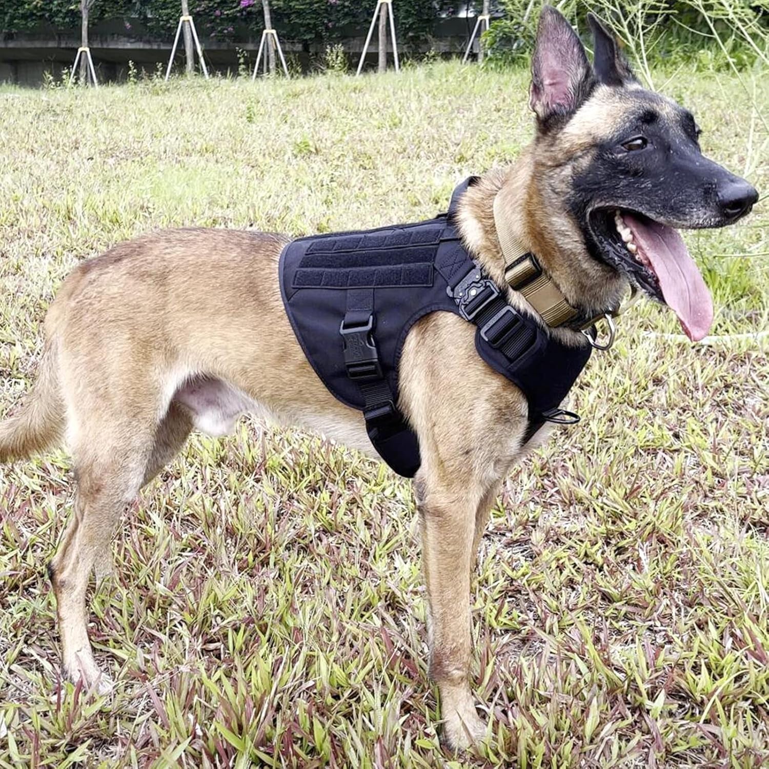 Tactical Dog Harness,X-Large Size, 2X Metal Buckle,Working Dog MOLLE Vest with Handle,No Pulling Front Leash Clip,Hook and Loop Panel