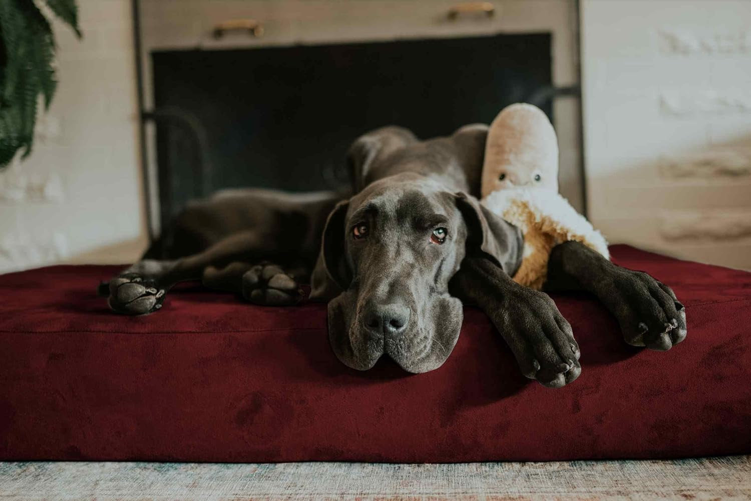 Sleek Orthopedic Dog Bed - 7” Dog Bed for Large Dogs W/Washable Microsuede Cover - Sleek Elevated Dog Bed Made in the USA W/ 10-Year Warranty (Sleek, Giant, Burgundy)