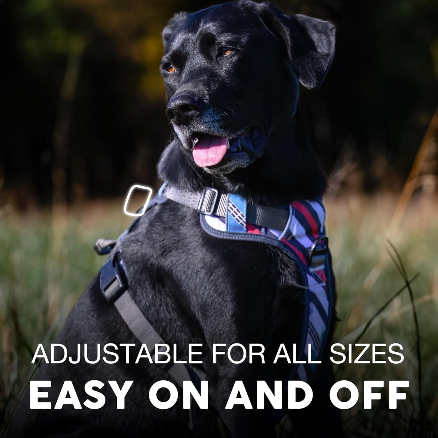 Embark Adventure Dog Harness, Reflective Trim No Pull Dog Harness Medium Sized Dog - Military Grade Nylon, Front Clip Dog Harness with Gel Lined Handle. Soft & Padded Puppy Dog Harnesses for Any Breed