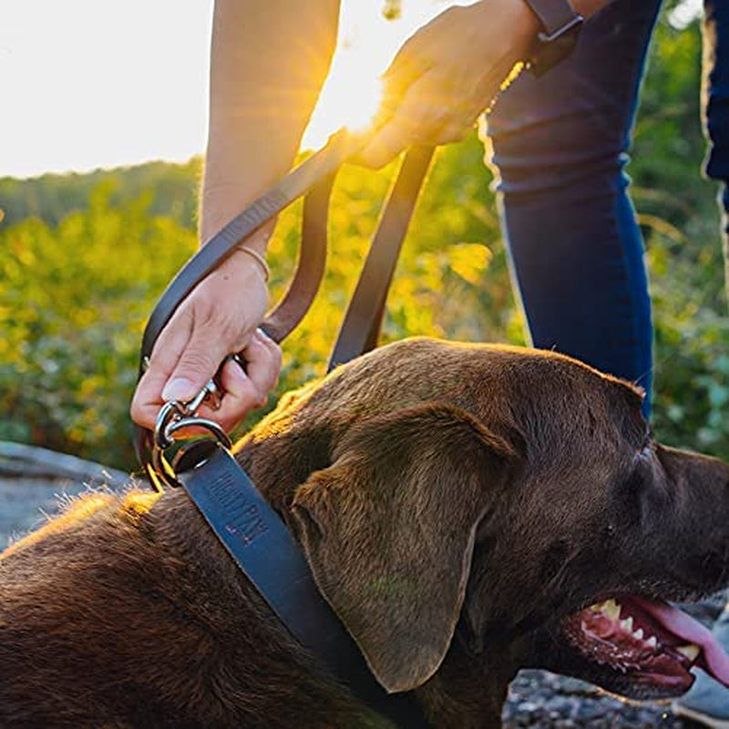 Leather Dog Leash - Genuine Distressed Material - Premium - Suitable for All Pet Sizes - Heavy Duty Dogs Leashes - Modern - Dark