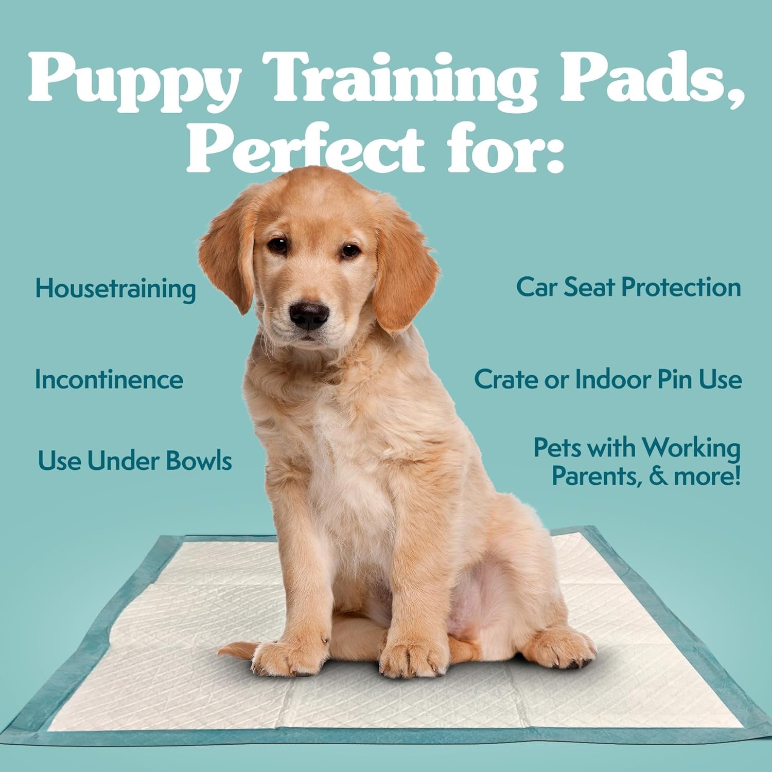 Extra Large Pee Pads for Dogs, XXL Puppy Potty Training Wee Wee Pad, 6 Layers Thick, Instashield Absorbent, Attracts Dogs, Leak Proof, Odor Neutralizing, Disposable, XLARGE 28"X30"