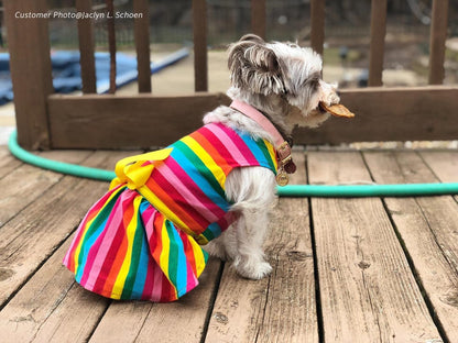 Rainbow Striped Dog Dress, Summer Dog Clothes for Small Dogs Girl, Pet Cat Outfit, 100% Breathable Cotton, Red Yellow Blue, Small