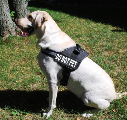 DO NOT PET Dog Vest Harness with Removable Patches and Reflective Trim. Comes with 2 DO NOT PET Reflective Removable Patches. Please Measure Dogs Girth before Purchase