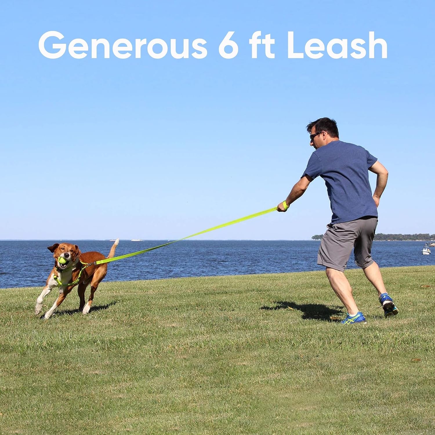 6 FT Pet Puppy Leash Reflective Dog Leash Comfortable Handle Highly Reflective Threads Heavy Duty Dog Training Leash Available as a 6 Ft Small Dog Orchid Leash