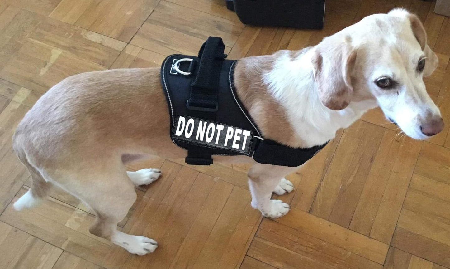 DO NOT PET Dog Vest Harness with Removable Patches and Reflective Trim. Comes with 2 DO NOT PET Reflective Removable Patches. Please Measure Dogs Girth before Purchase