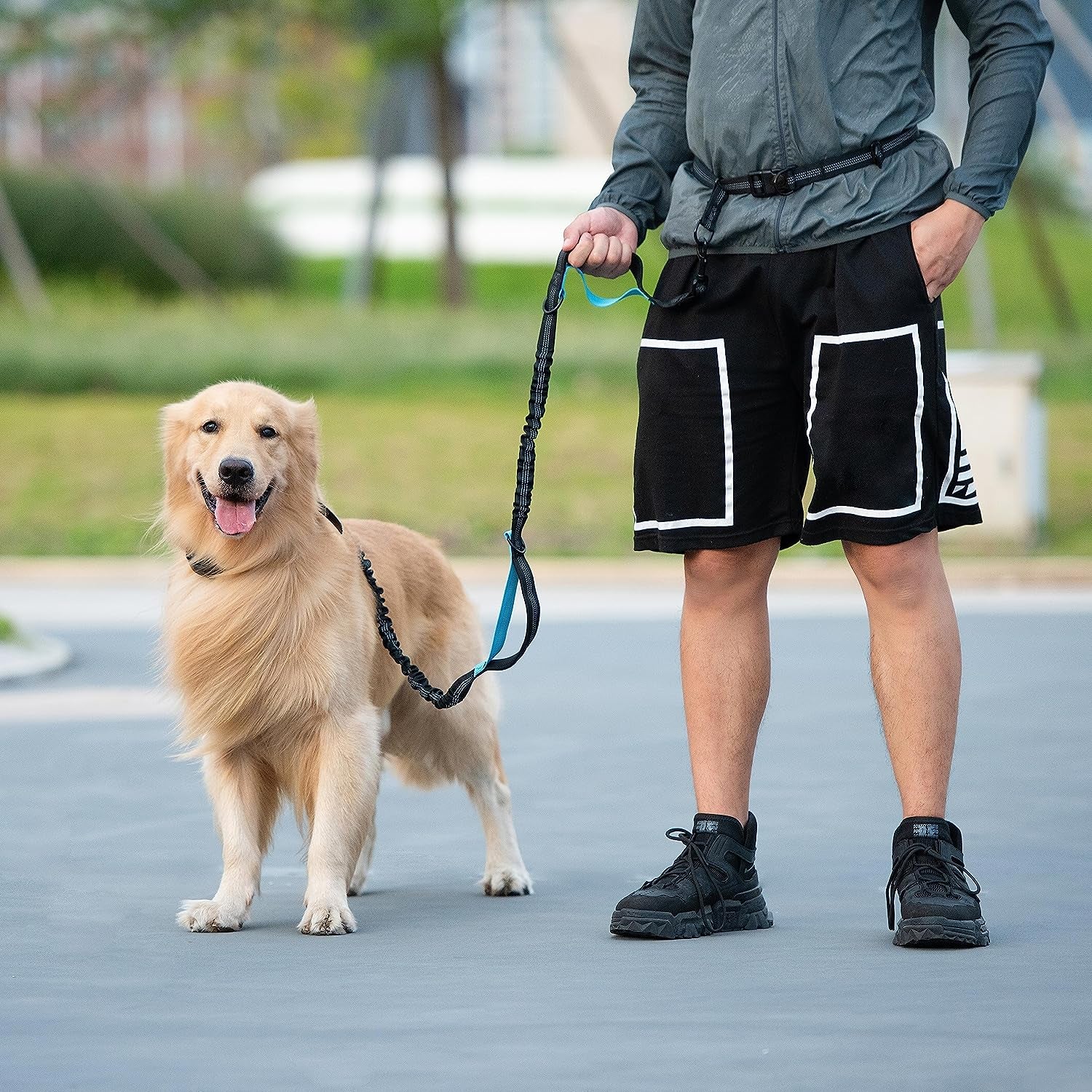 Hands Free Dog Leash with Zipper Pouch, Dual Padded Handles and Durable Bungee for Walking, Jogging and Running Your Dog (Large, 25-120 Lbs, Red)