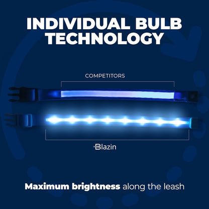 Light up Dog Leash LED Dog Leash - 1,000 Feet of Visibility - USB Rechargeable Waterproof Glow in the Dark Dog Leash - 4 Foot, Blue