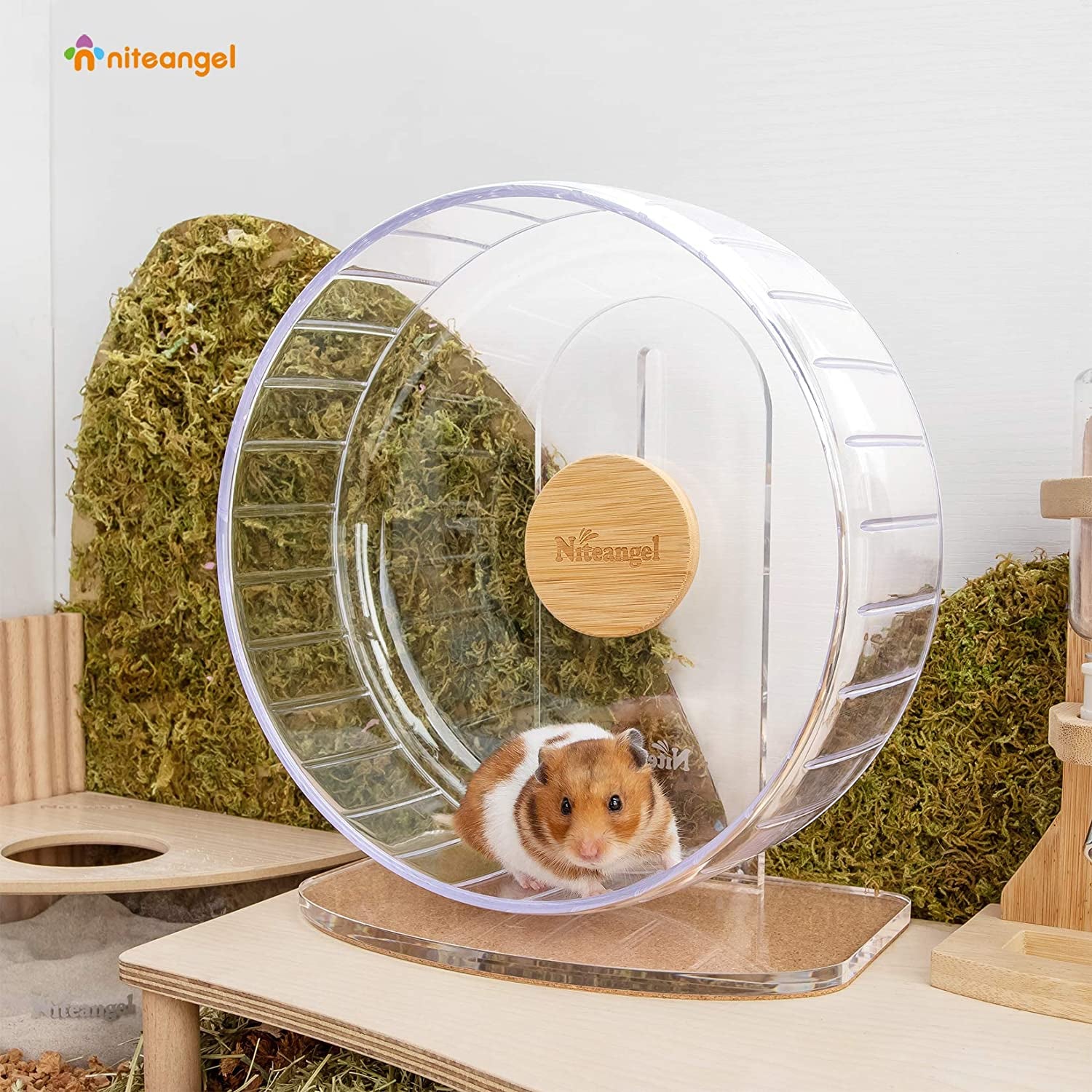 Super-Silent Hamster Exercise Wheels - Quiet Spinner Hamster Running Wheels with Adjustable Stand for Hamsters Gerbils Mice or Other Small Animals (M, Transparent)