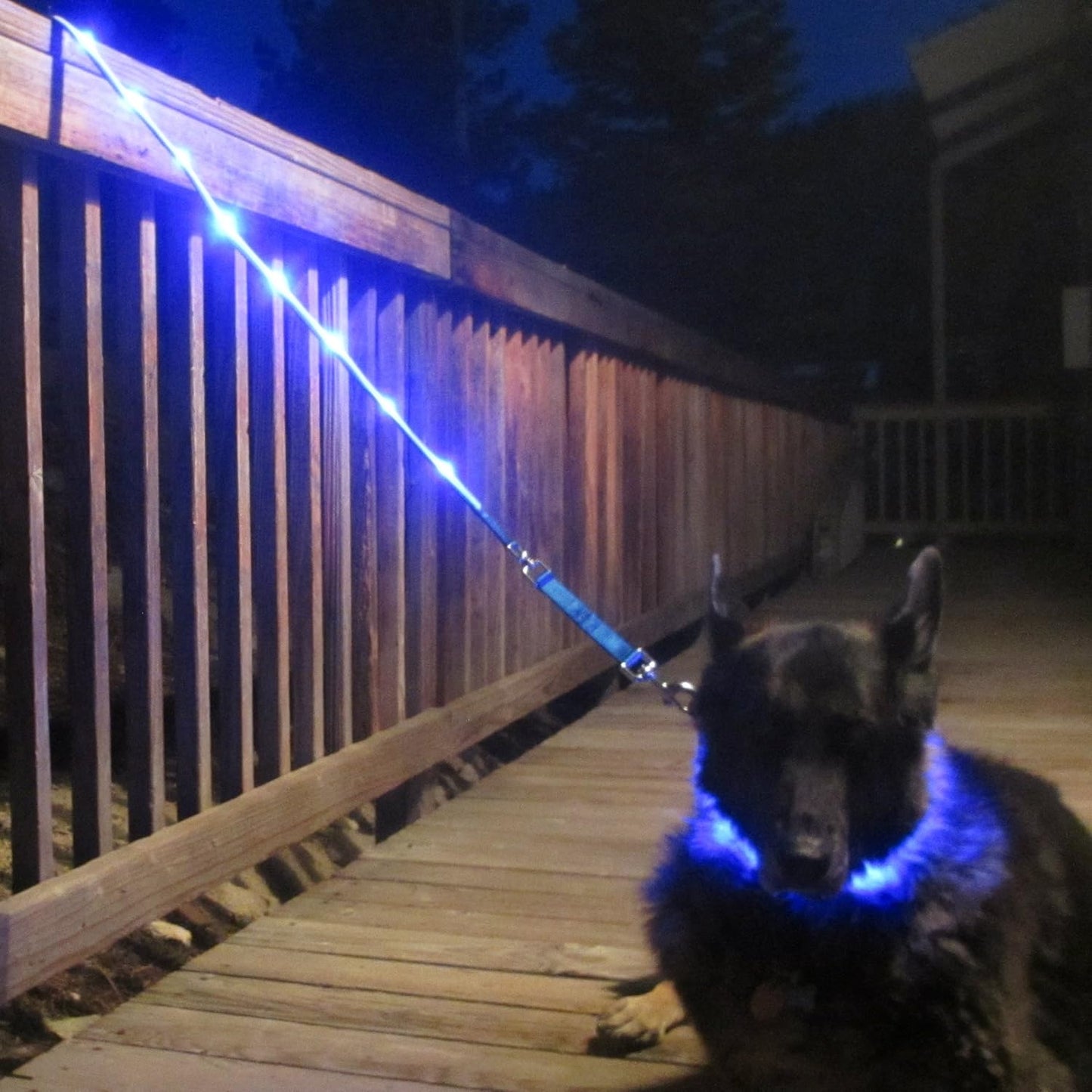 Light up Dog Leash LED Dog Leash - 1,000 Feet of Visibility - USB Rechargeable Waterproof Glow in the Dark Dog Leash - 4 Foot, Blue