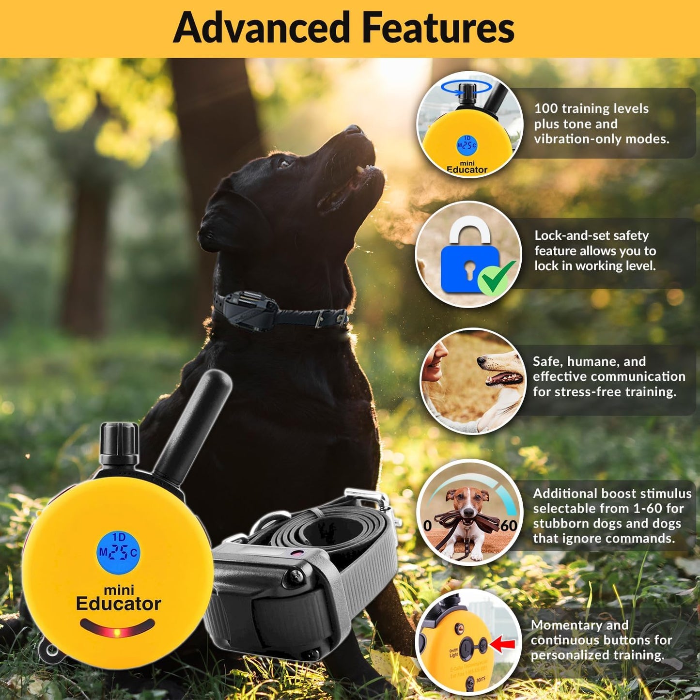 E-Collar Humane Dog Training Collar with Remote, 100 Safe Tapping Stimulation Levels, Night Light, Waterproof, Rechargeable, 1/2 Mile 1 Small-Medium Dog, Yellow