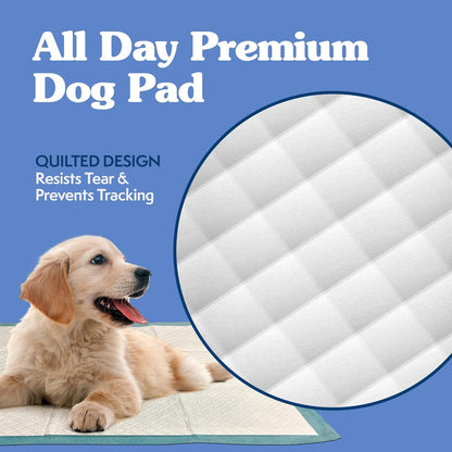 Extra Large Pee Pads for Dogs, XXL Puppy Potty Training Wee Wee Pad, 6 Layers Thick, Instashield Absorbent, Attracts Dogs, Leak Proof, Odor Neutralizing, Disposable, XLARGE 28"X30"