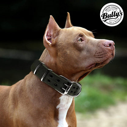 Pit Bull Collar, Dog Collar for Large Dogs, Heavy Duty Nylon, Stainless Steel Hardware (XL, Sapphire Blue)