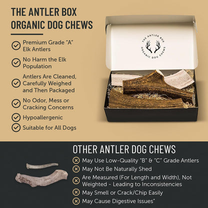 Premium Elk Antler Dog Chews (1 Pound Box) (Small (7-8 Pieces) Whole/Split Mixed)