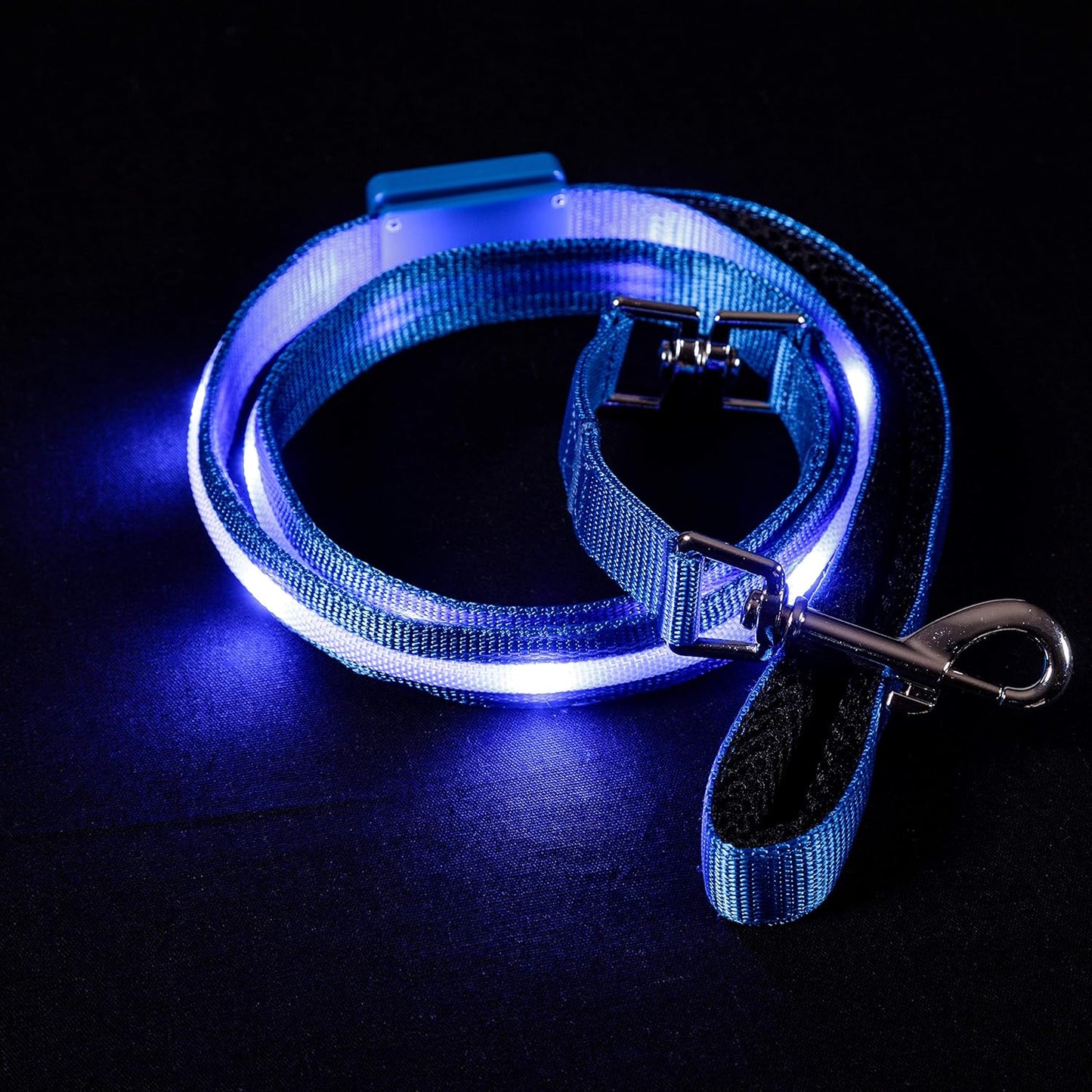 Light up Dog Leash LED Dog Leash - 1,000 Feet of Visibility - USB Rechargeable Waterproof Glow in the Dark Dog Leash - 4 Foot, Blue