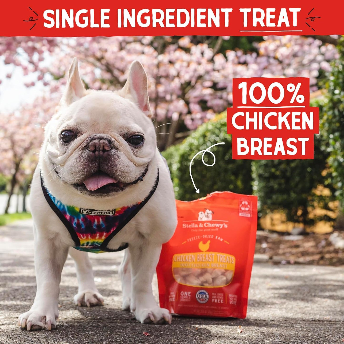 Freeze-Dried Raw Single Ingredient Chicken Breast Treats, 2.75 Oz. Bag