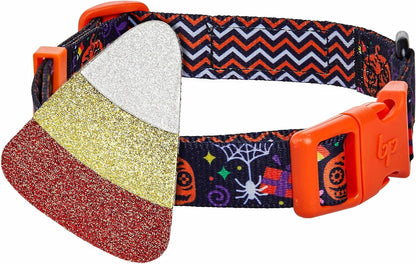 Halloween Candy Corn Adjustable Dog Collar with Detachable Glitter Accessory, Small, Neck 12"-16"