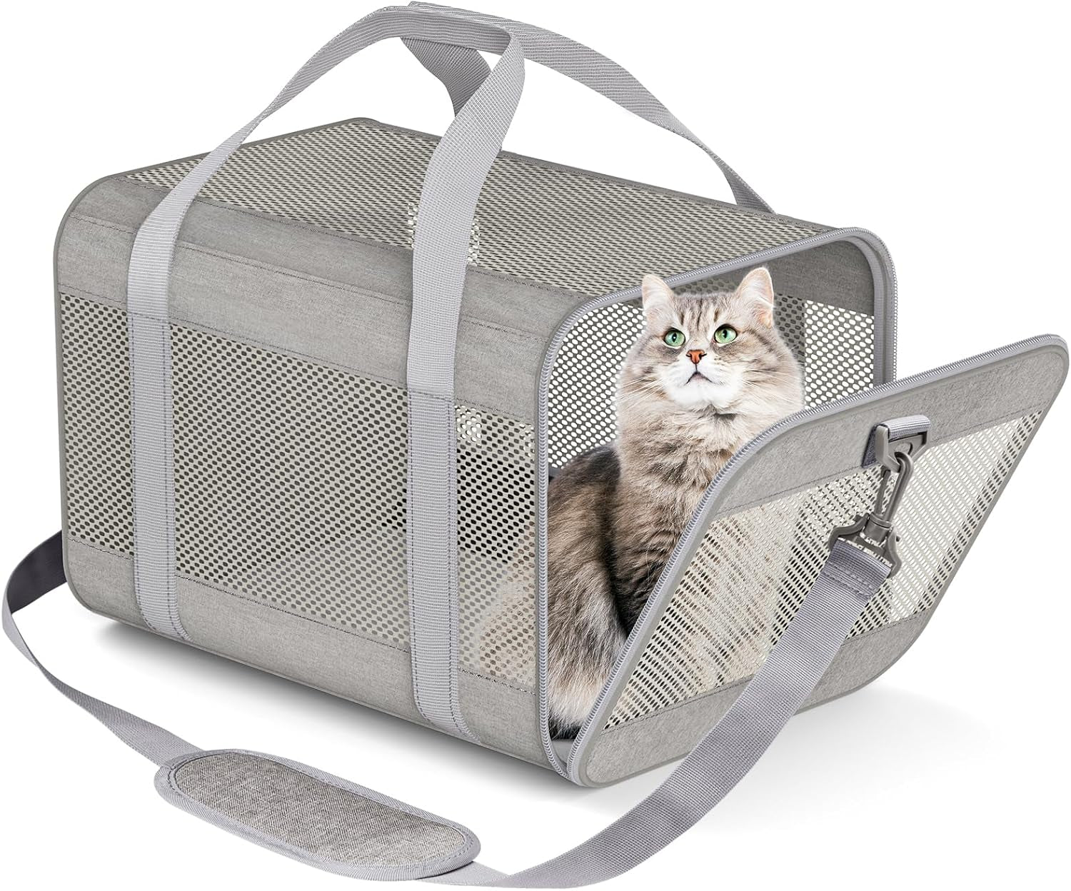 Cat Carrier Dog Carriers for Small Dogs Soft Slided Airline Approved Collapsible Pet Travel Carrier, Small (16.3" L X 11.8" H X 12.4" W)