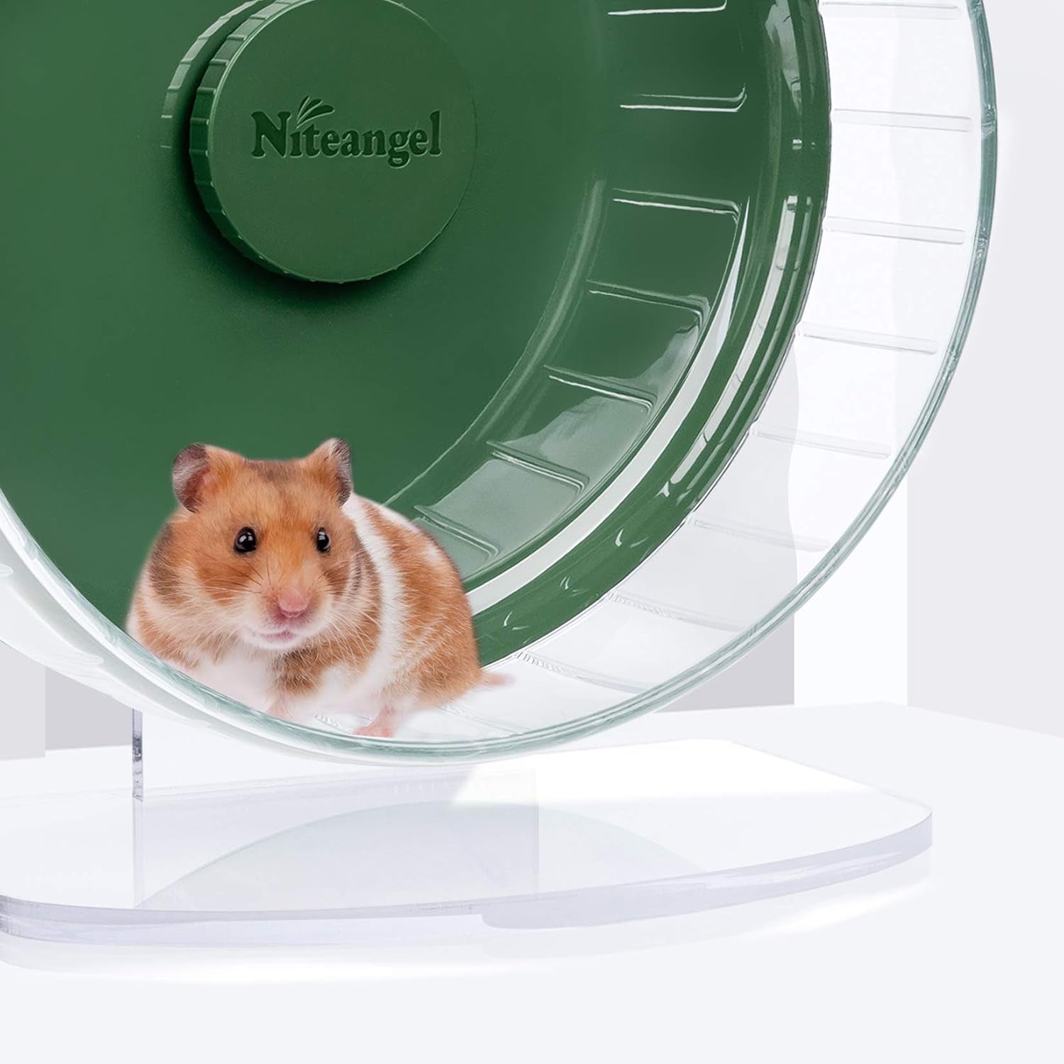 Super-Silent Hamster Exercise Wheels: - Quiet Spinner Hamster Running Wheels with Adjustable Stand for Hamsters Gerbils Mice or Other Small Animals (M, Dark Green)