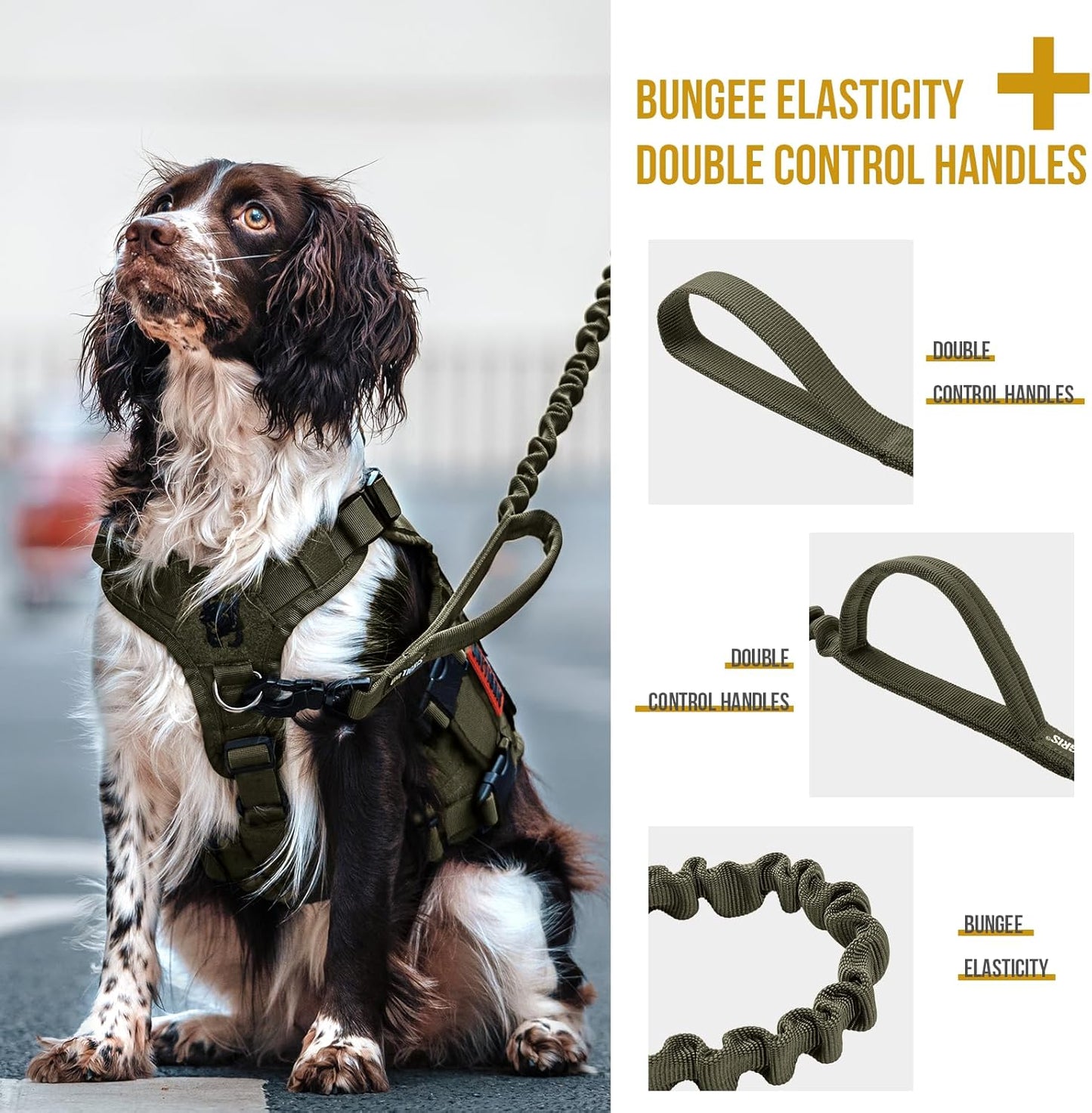 Tactical Dog Training Bungee Leash with 2 Control Handle Quick Release Nylon Leads Rope(Ranger Green)