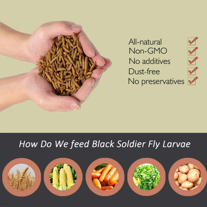 Black Soldier Fly Larvaeis,2Lb 100% Natural Large Size No Moisture,Treats for Birds Chickens Hedgehog Hamster Fish Reptile Turtles…