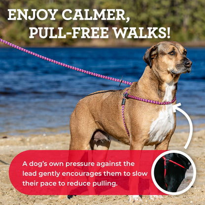 No Pull Dog Harness and Leash Set, anti Pull Dog Harness for All Breeds and Sizes, One-Piece Cushioned Rope Design Safely Prevents Escaping and Pulling (Medium/Large, Pink)