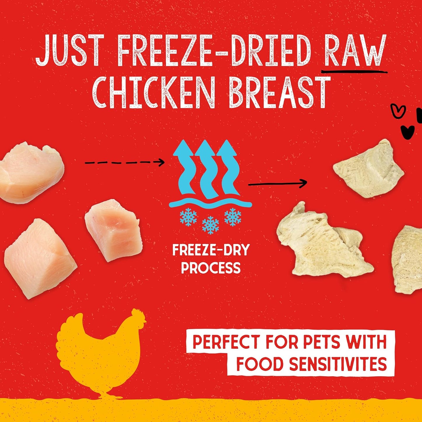 Freeze-Dried Raw Single Ingredient Chicken Breast Treats, 2.75 Oz. Bag