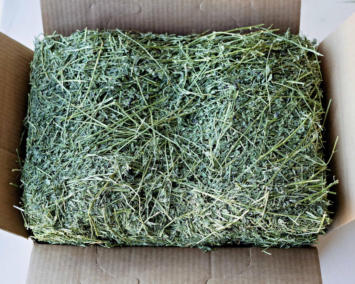 Alfalfa Hay for Rabbits & Small Pets, 10 Lbs