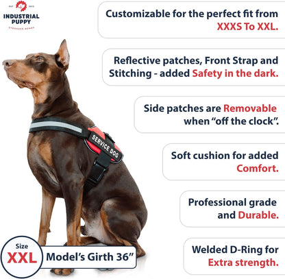 Service Dog Vest with Handle - No Pull Dog Harness for Large Dogs, ESA, and Working Dogs - Adjustable Fit, Reflective Straps, Removable Patches,Training Vest for Small to Large Breeds