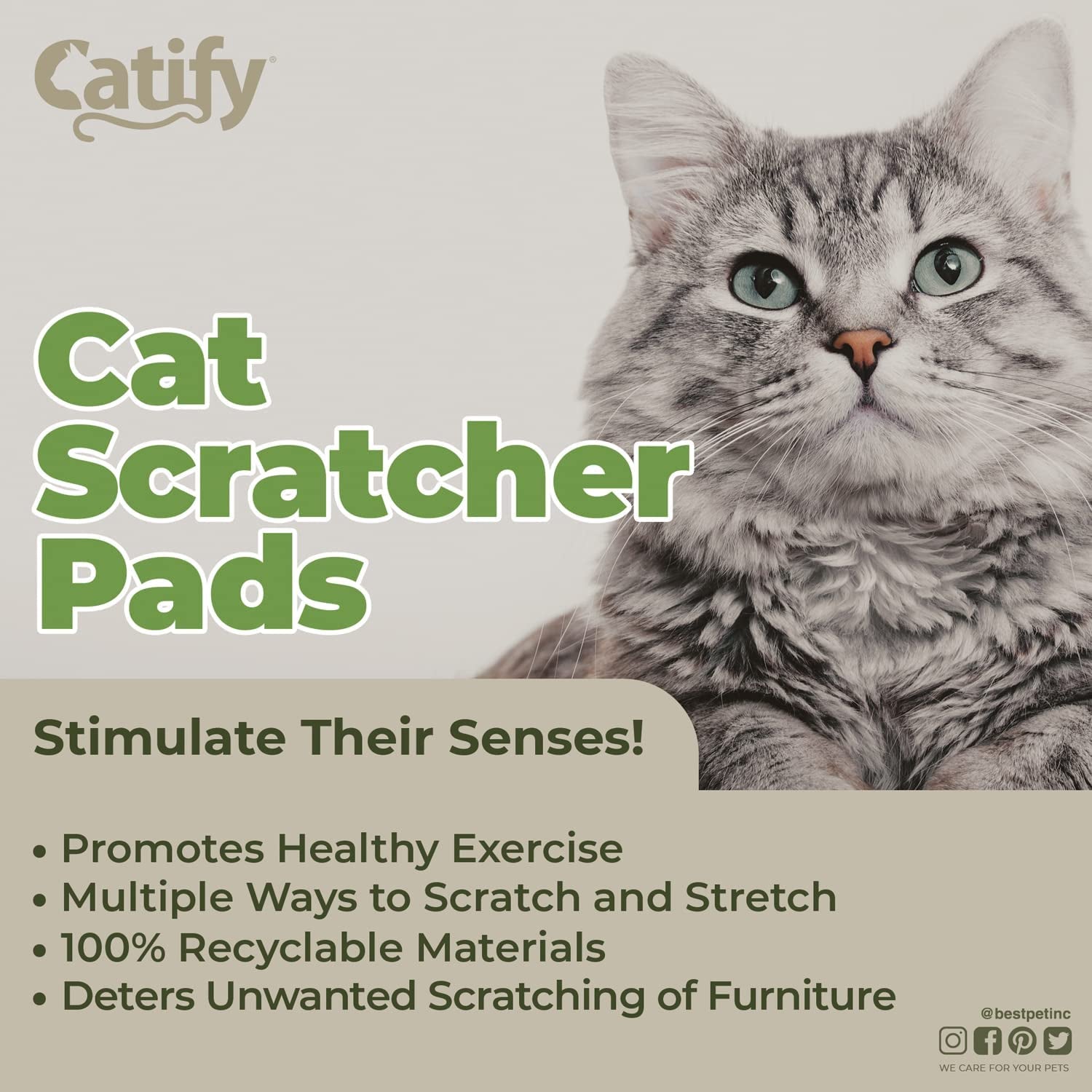 Catify Cat Scratcher Pad - Wide (3 Pack)