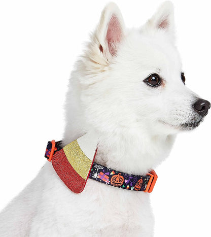 Halloween Candy Corn Adjustable Dog Collar with Detachable Glitter Accessory, Small, Neck 12"-16"