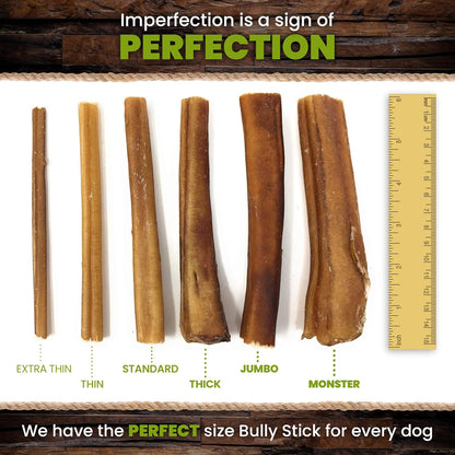 Sancho & Lola'S Bully Sticks for Dogs - 12-Inch Extra Thick 5 Count Grain-Free Grass-Fed Free-Range High Protein Dog Chews