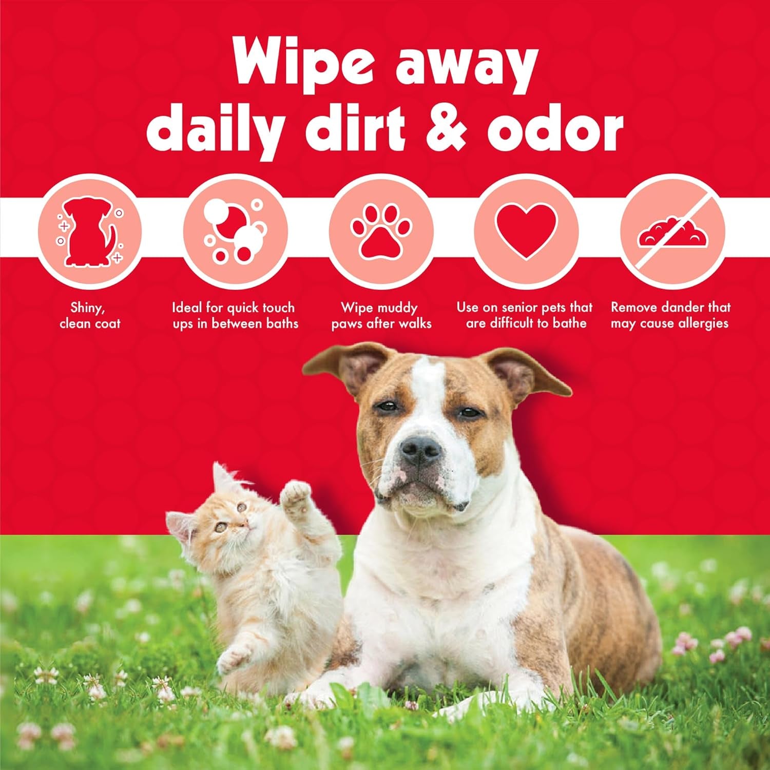 Pet Wipes for Dogs and Cats, 200 Large Wipes - Removes Dirt & Odor like Washing Hands - Cleans Ears, Face, Butt, Eye Area - Convenient, Ideal for Home or Travel - 2 Packs of 100 Wipes