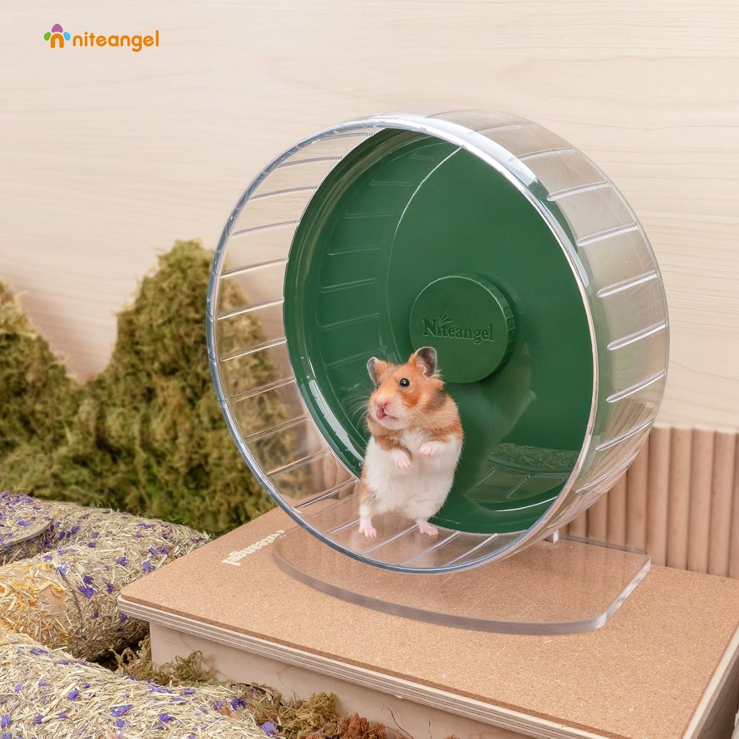 Super-Silent Hamster Exercise Wheels: - Quiet Spinner Hamster Running Wheels with Adjustable Stand for Hamsters Gerbils Mice or Other Small Animals (M, Dark Green)